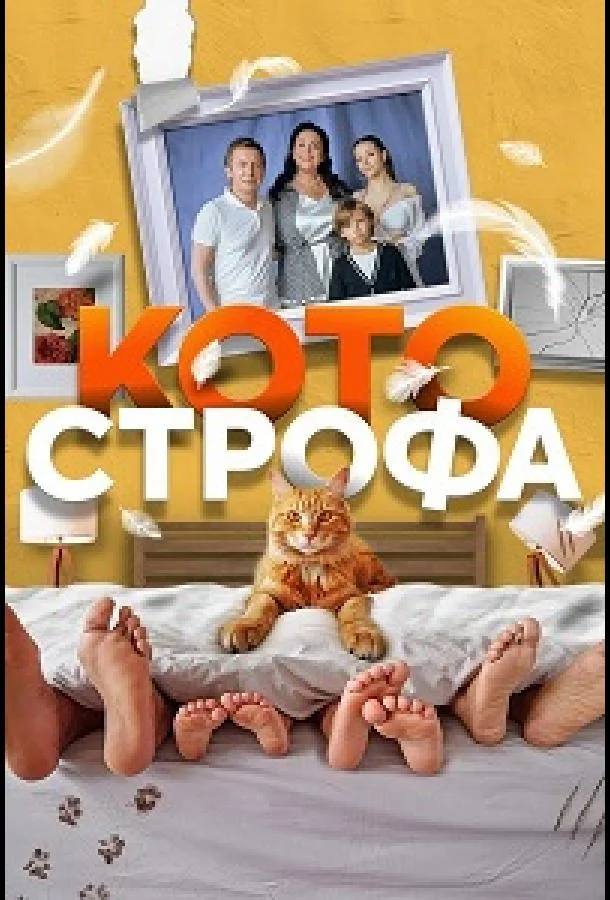 Котострофа 1 сезон